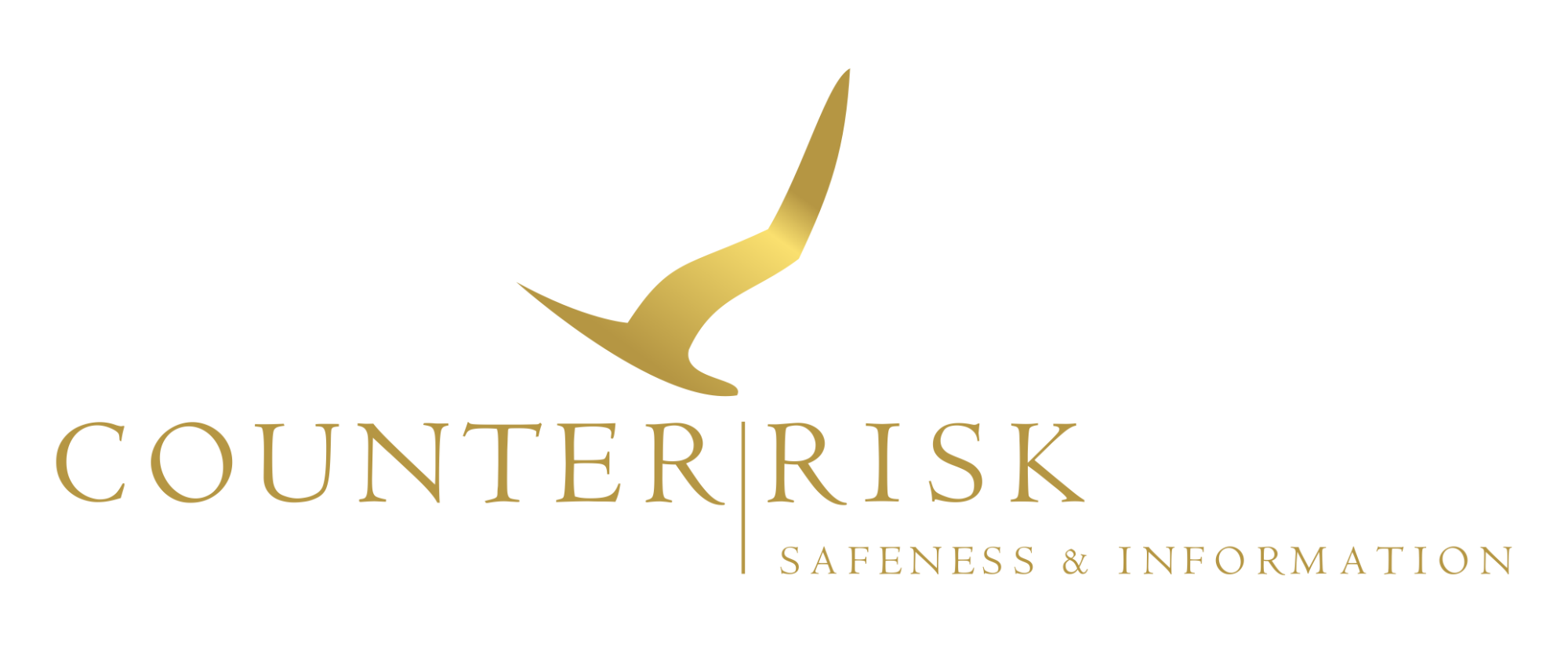 Counter Risk Logo